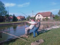 /album/fotogalerie/imag0214-jpg/